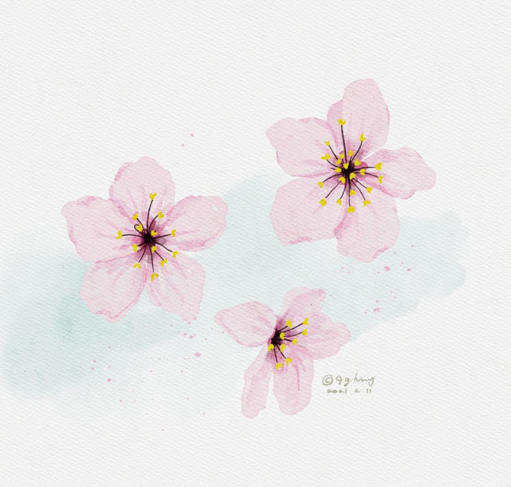  11일차- 새해 복 많이 받으세요
