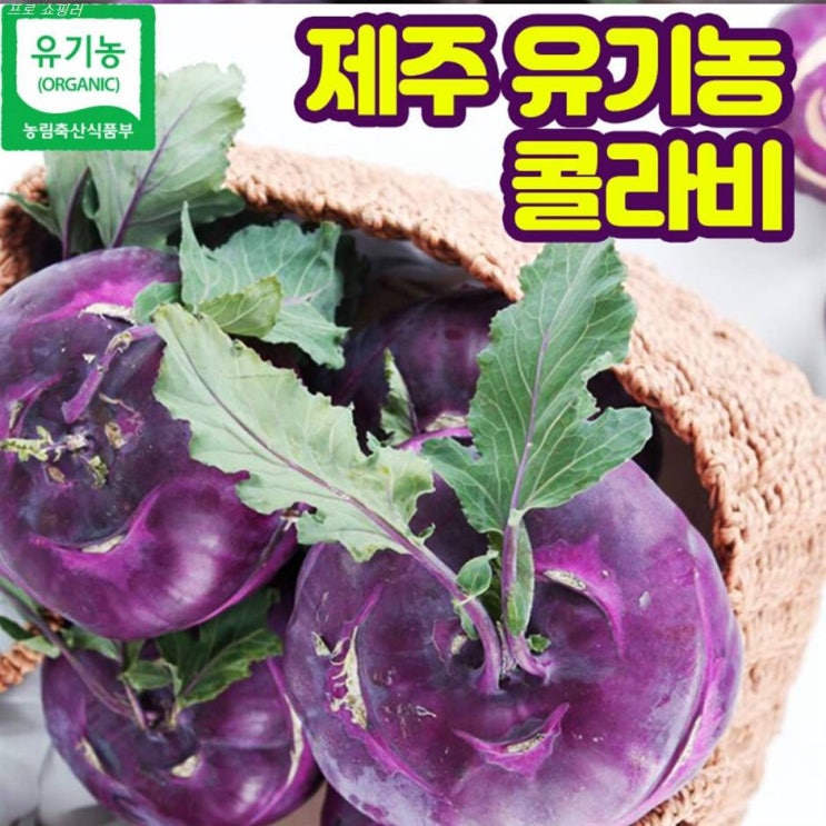  [할인정보] 제주 유기농 콜라비 제철콜라비 제주도 유기농 레드 비트 피클 물김치용 3kg 5kg 10kg 15kg 11,160 원 30% 할인