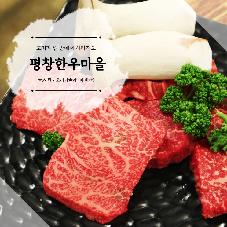 살살녹는 대관령 양떼목장 맛집 평창한우마을 살살녹는 대관령 양떼목장 맛집 평창한우마을