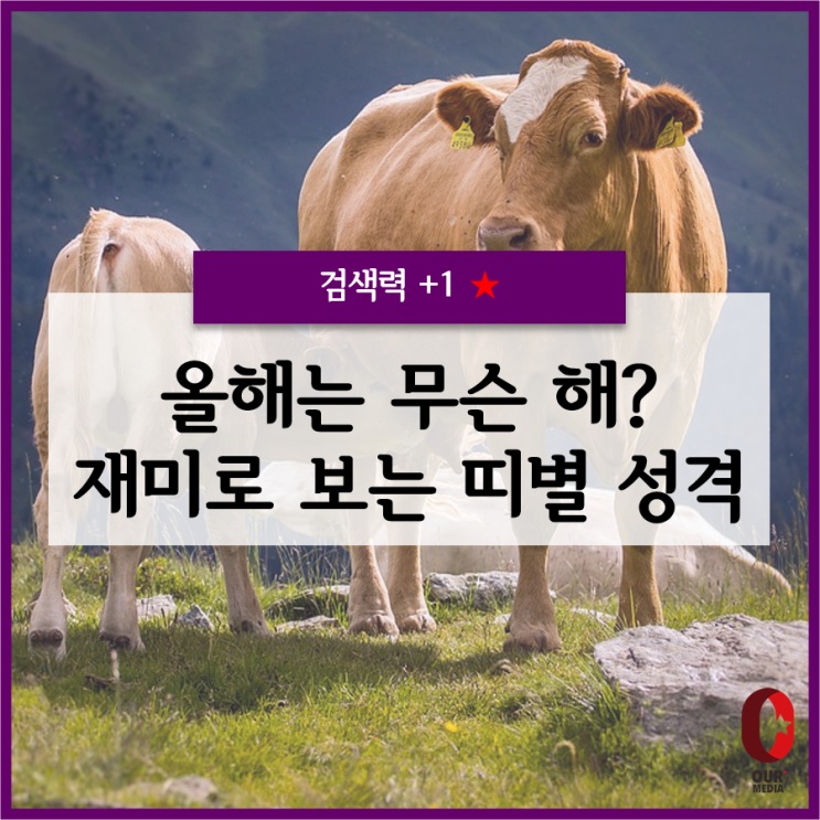  올해는 무슨 해? 재미로 알아보는 띠별 성격!