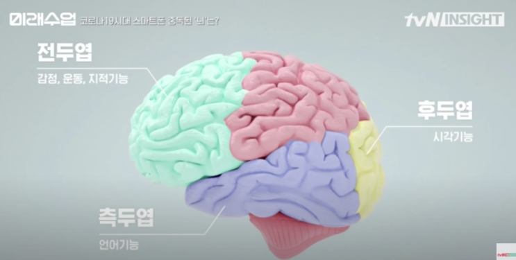  스마트폰을 쓰는 아이는 과연 행복할까? 현명한 교육법 feat. 코로나 미래수업 tvN 독서