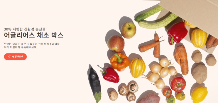  어글리어스 배송 후기 - 1인 가구 유기농 제철 채소 저렴하게 사는 법