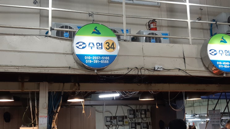  여기주목 울산농수산물도배시장 수산물종합동 수협 34번 중개인
