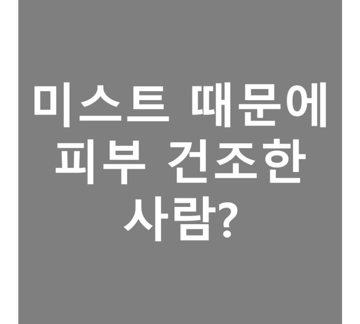  미스트 똑바로 사용하는 법