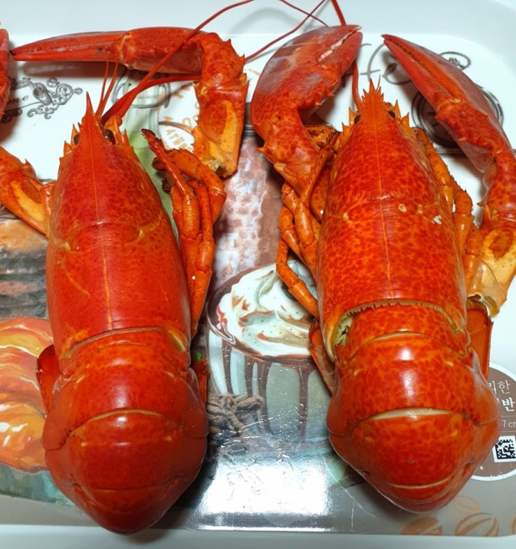  쿠팡 자숙랍스터 가족들과 먹방후기 후식은 문어스파게티!