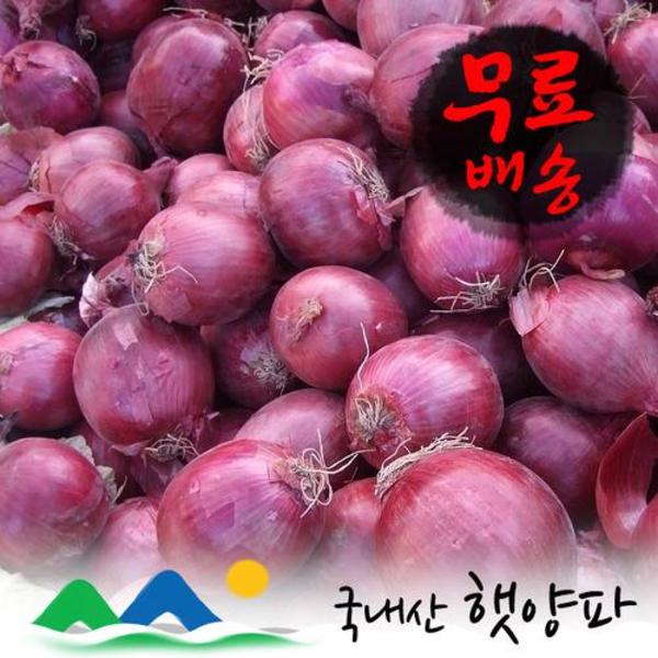 인기있는 신선농장 자색양파, 1박스, 10kg ··· 인기있는 신선농장 자색양파, 1박스, 10kg ···