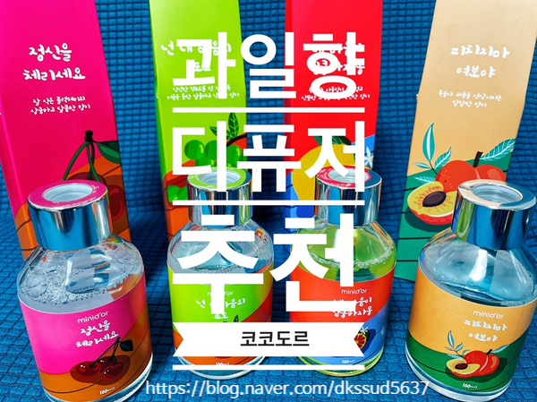  디퓨저 추천 :: 인테리어 소품으로도 제격인 귀염뽀짝 "코코도르 디퓨저"