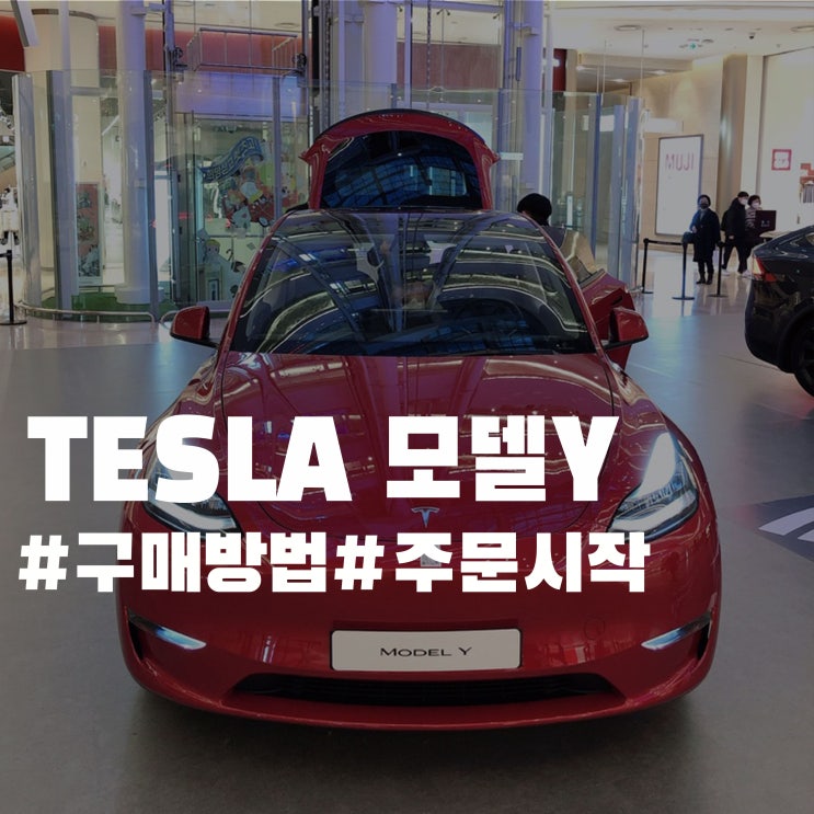테슬라 모델Y 주문 - 리퍼럴코드 테슬라 모델Y 주문 - 리퍼럴코드