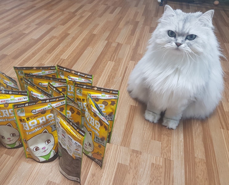  캐츠랑 저요 저요 기호성 좋은 고양이 간식