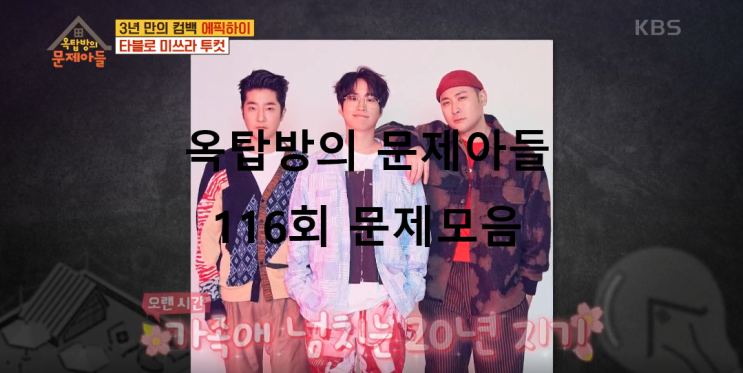  옥탑방의 문제아들 116회 방송 문제 모음