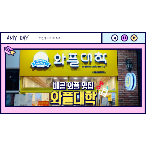  [시흥] 베니스스퀘어 와플 맛집 와플대학