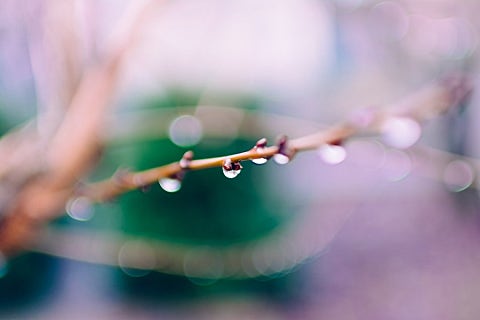 김*일 이미지