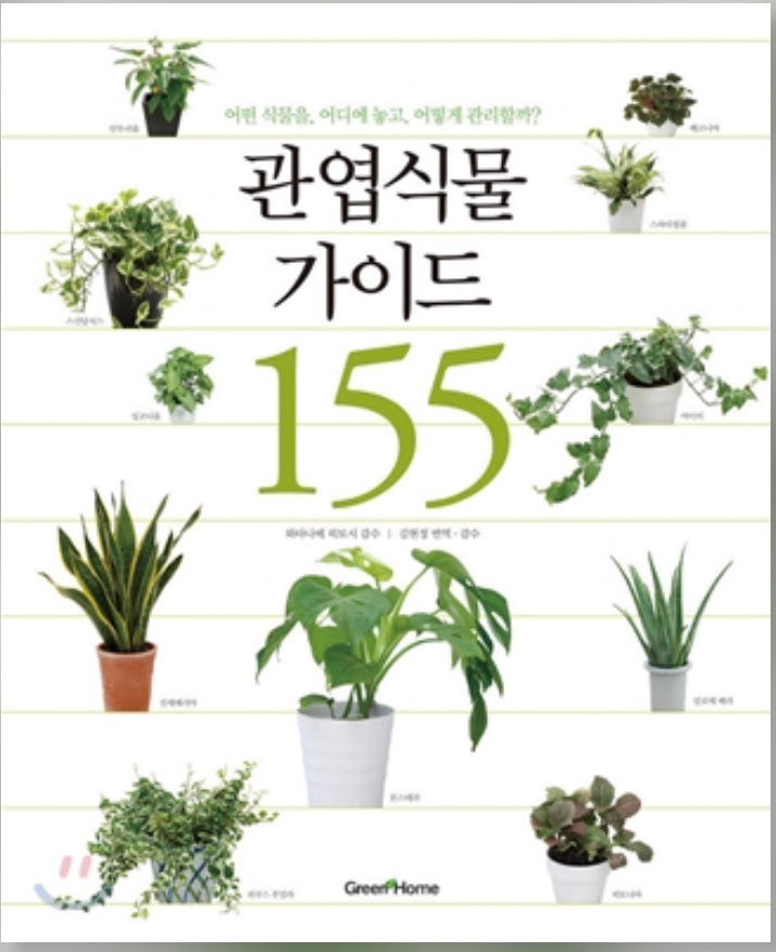 식물책추천 관엽식물 가이드 155