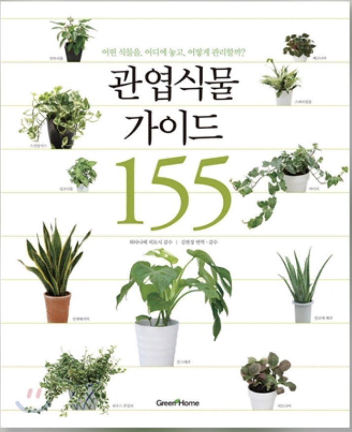  식물책추천 관엽식물 가이드 155