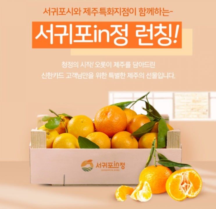 신한카드>신한카드 고객 만의 차별화된 제주 체험 서귀포IN정 런칭 특가 이벤트 신한카드 인정? 어! 인정! 신한카드>신한카드 고객 만의 차별화된 제주 체험 서귀포IN정 런칭 특가 이벤트 신한카드 인정? 어! 인정!