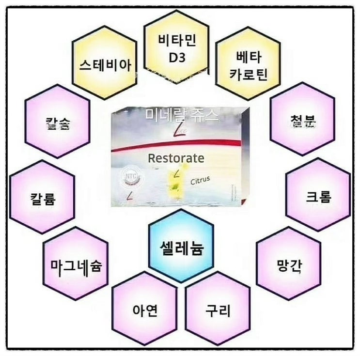  피트라인 리스토레이트, 미네랄, 독일PM 프리미엄 건강기능식품 가성비