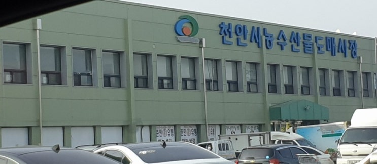 (리뷰) 천안시 농수산물 도매시장 방문기.