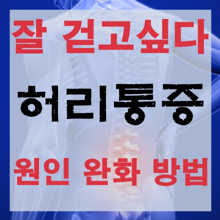  허리통증 원인과 완화 방법 그리고 통증 유발 질환