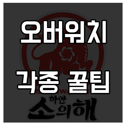 오버워치 각종 꿀팁들 및 설날 이벤트