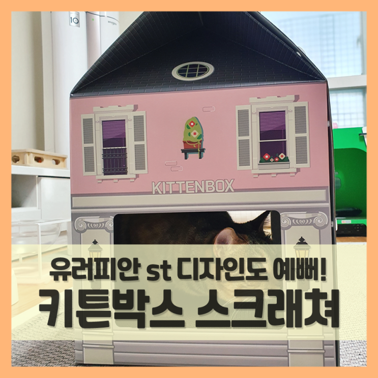  고양이 숨숨집도 유러피안 스타일! (f. 키튼박스 스크래쳐 하우스)