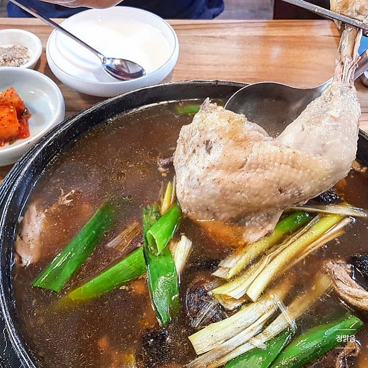  [유성맛집/구암동] 나의 찐 애정 능이백숙집, 천강돌솥밥