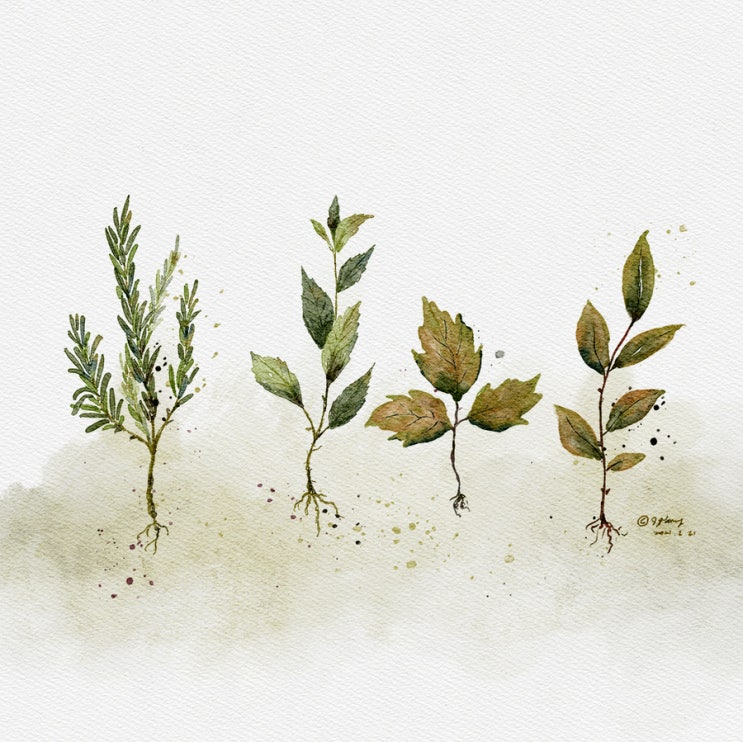  12일차- Watercolor Leaver