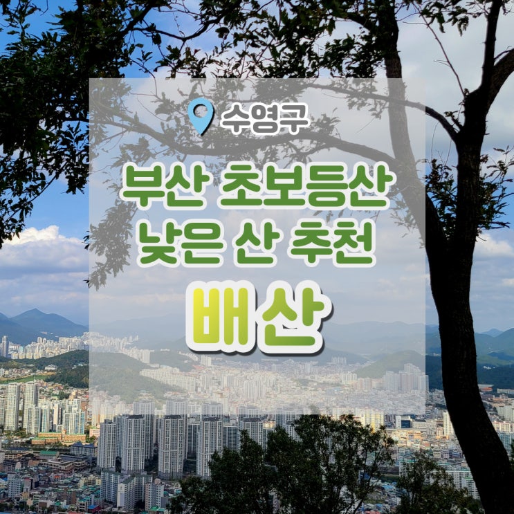  배산 등산 (부산 낮은산 추천)
