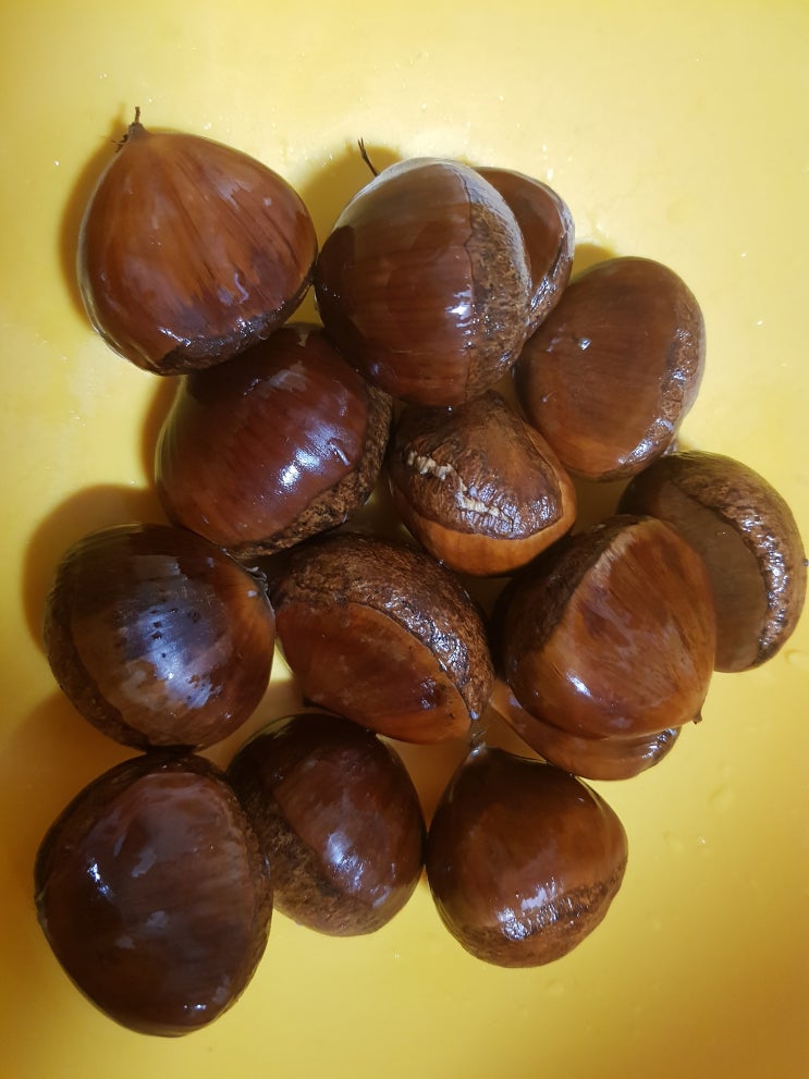  밤껍질 쉽게 까는 법 간단하고 쉬워요!