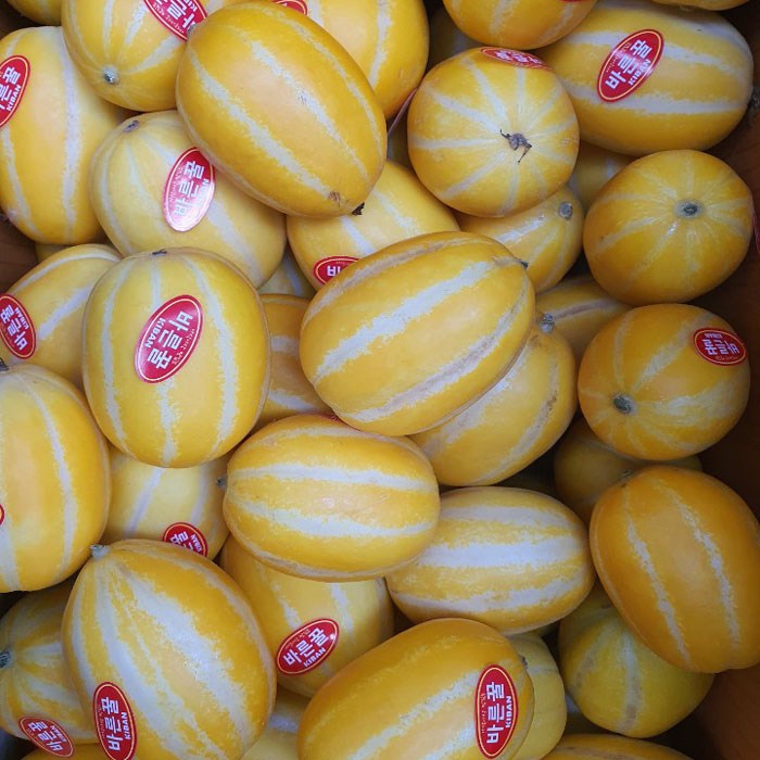 인지도 있는 경북 성주 꿀참외 소과 10kg(실중량) 참외, 1박스 ··· 인지도 있는 경북 성주 꿀참외 소과 10kg(실중량) 참외, 1박스 ···