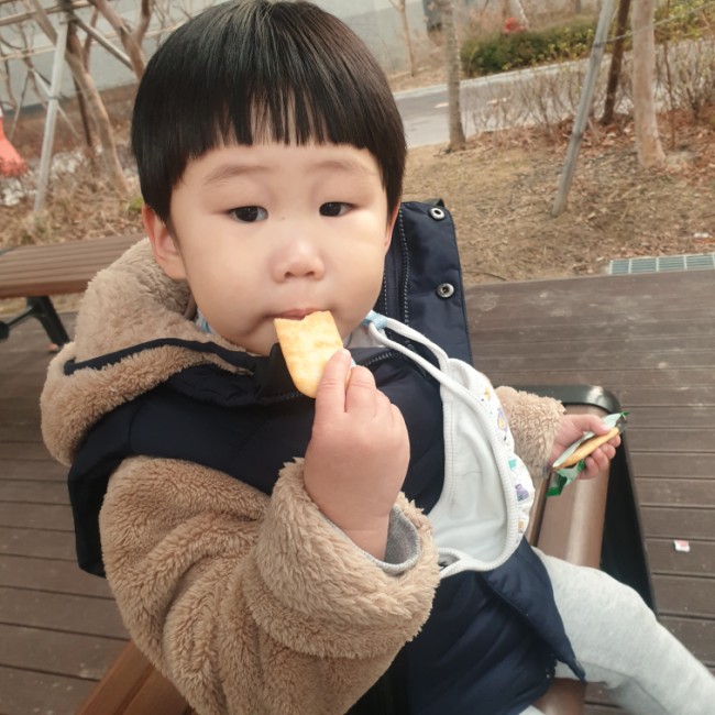  < 임신 24주 > 4살_27개월 아이발달 성장기록 (신체,언어,행동)
