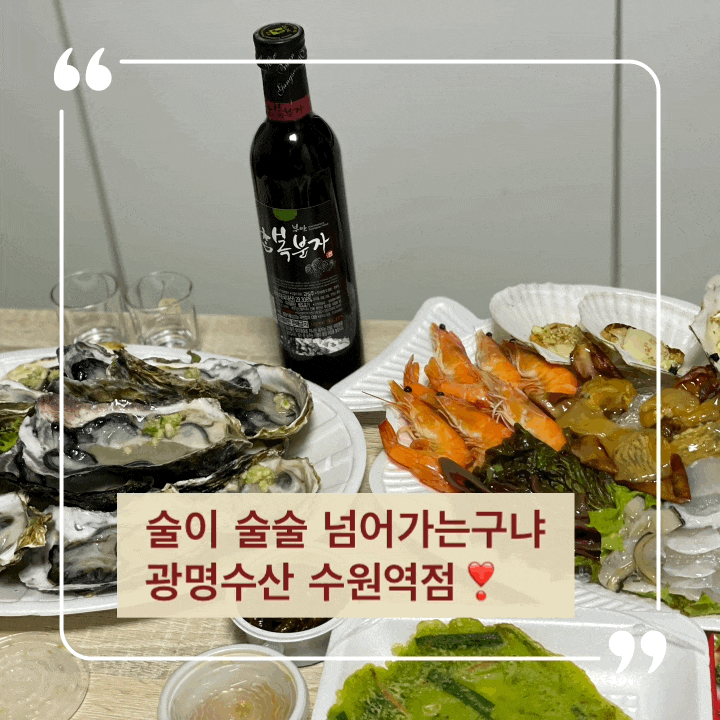  수원역 횟집 광명수산 수원역점 해물모듬, 석화 찐이야