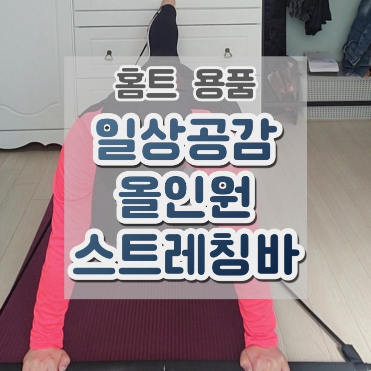  홈트레이닝기구 짐스틱 일상공감 올인원스트레칭바