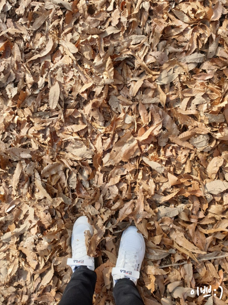  [자연여행] 설날에는 등산으로 힘차게 시작