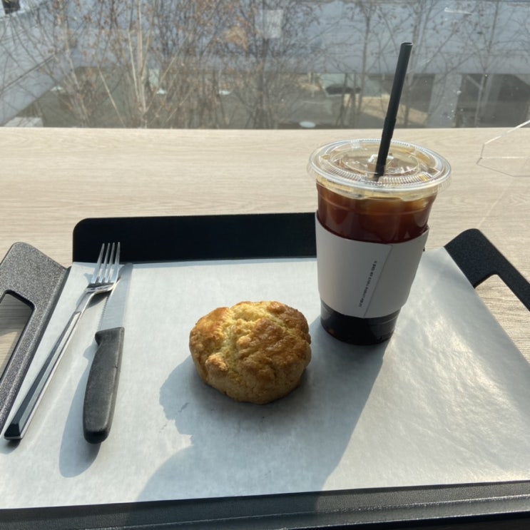 2월 둘째주 일상 ( ´͈ ᵕ `͈ )️