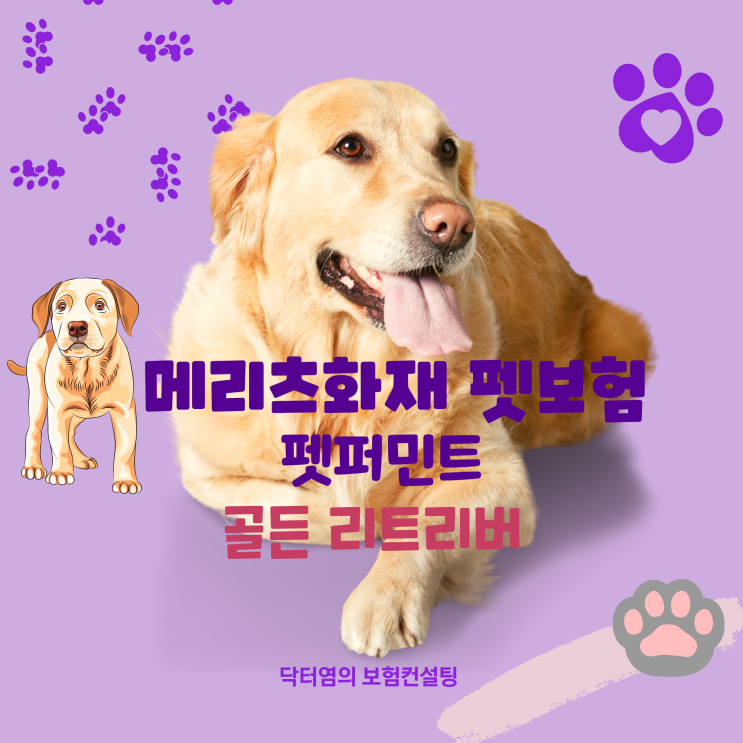  메리츠화재 펫보험 펫퍼민트 골든 리트리버 2세 설계서 살펴보기