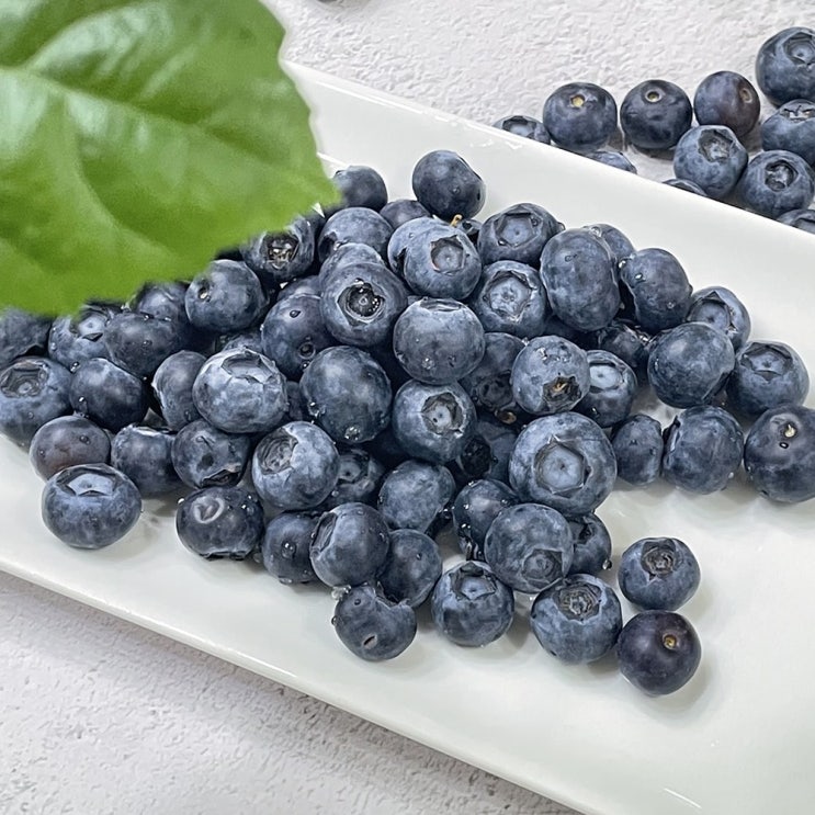 의외로 인기있는 고당도 생 블루베리 생과 칠레산 750g 1.5kg, 750g(125g 6팩) 추천해요 의외로 인기있는 고당도 생 블루베리 생과 칠레산 750g 1.5kg, 750g(125g 6팩) 추천해요