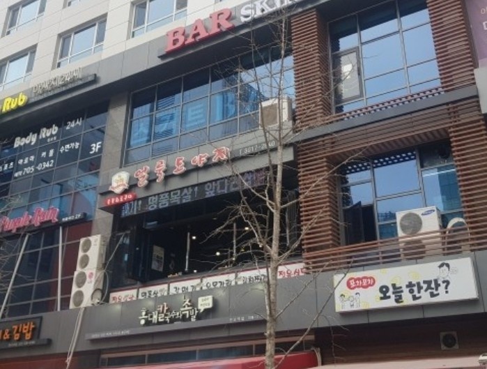  [][돼지고기] 얼룩도야지