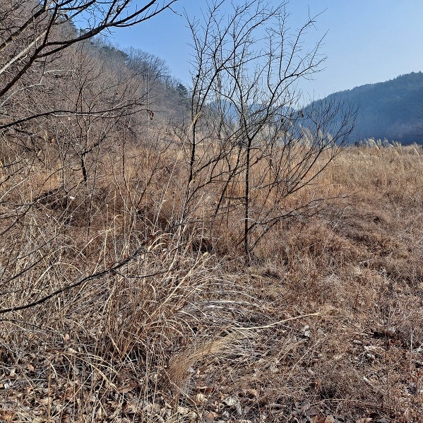 신월지 사진 5