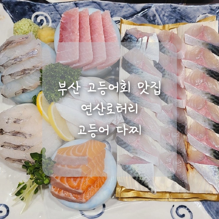  부산 연제구 맛집, 비린 맛 전혀 없는 고등어회를 먹고 싶다면 연산동 고등어다찌로 오세요 :)