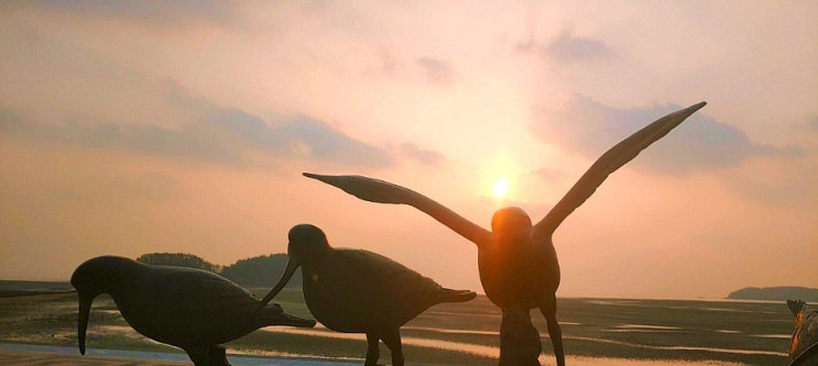  충남 서천 해안도로 따라 드라이브