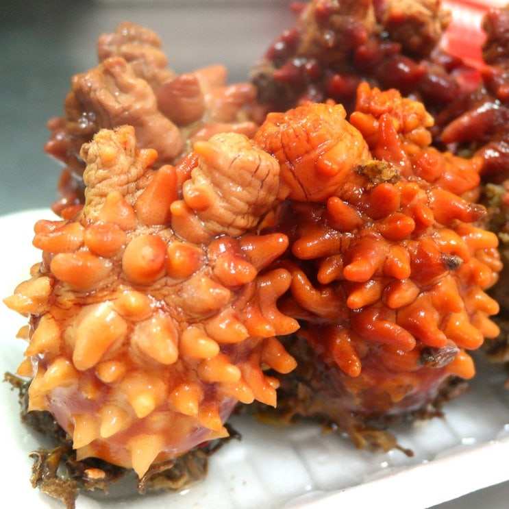 후기가 좋은 남해안 멍게 1kg 자연산 꽃 멍게 우렁쉥이 멍게비빕밥 덮밥, 1개 좋아요 후기가 좋은 남해안 멍게 1kg 자연산 꽃 멍게 우렁쉥이 멍게비빕밥 덮밥, 1개 좋아요