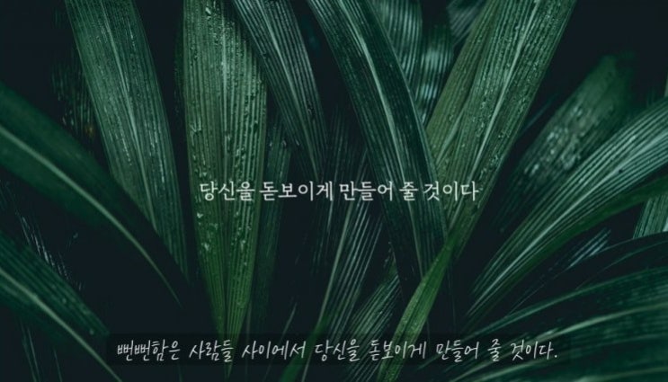  뻔뻔한 그 녀석의 잘 나가는 비결 [유리뷰]