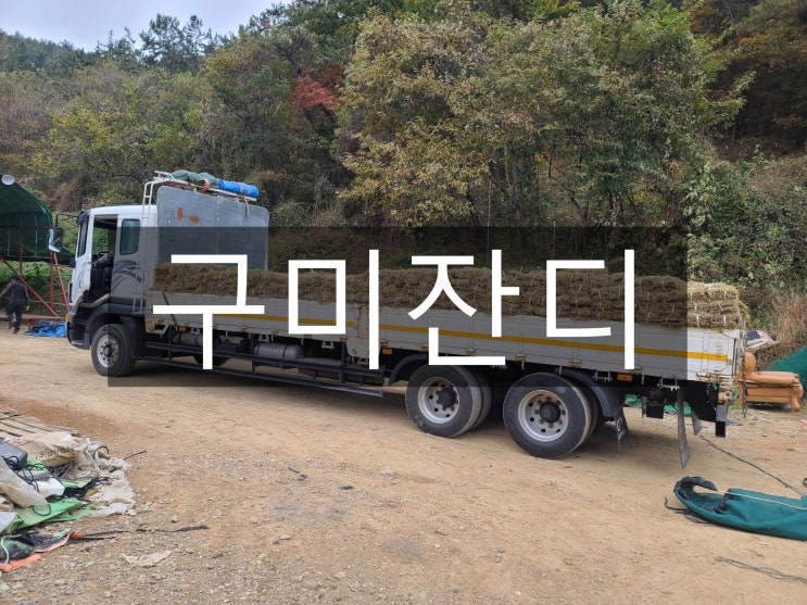  경북 최초 그린시티 구미 잔디 배송