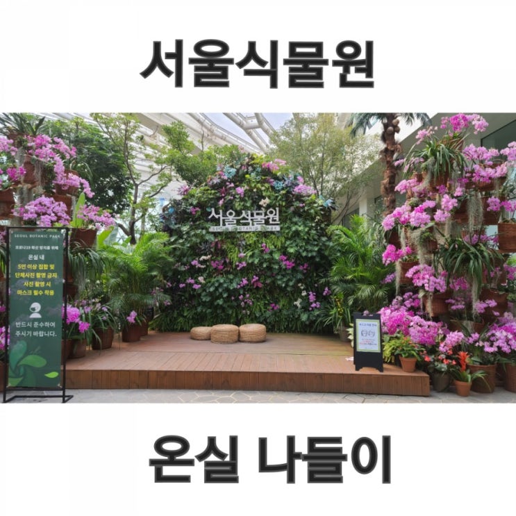  서울 식물원 20개월 아기와 나들이
