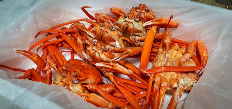  구미 옥계 맛집, 고가네 영덕대게(대게, 홍게, 킹크랩, 무한리필, 배달)