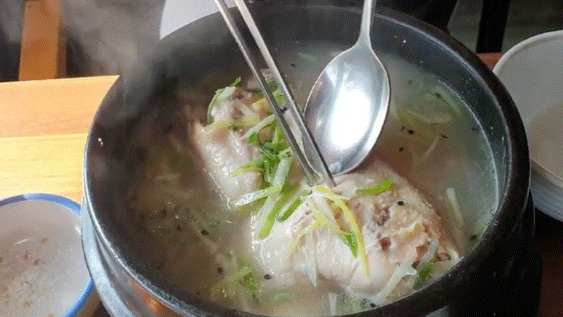  밀양 시청 맛집 백숙 좋았던 신라삼계탕 후기