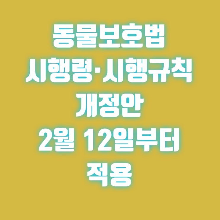  동물보호법 시행령·시행규칙 개정안 2월 12일부터 적용