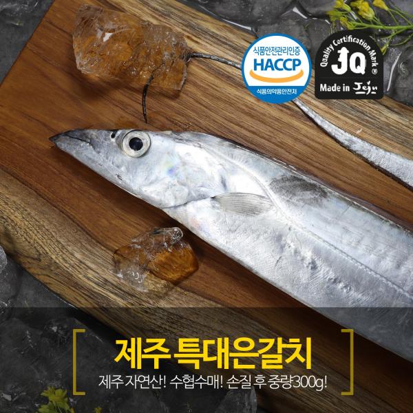 잘나가는 제주SF 제주 은갈치 특대사이즈 300g*6미(총 24토막/총 1.8kg), 1 ··· 잘나가는 제주SF 제주 은갈치 특대사이즈 300g*6미(총 24토막/총 1.8kg), 1 ···