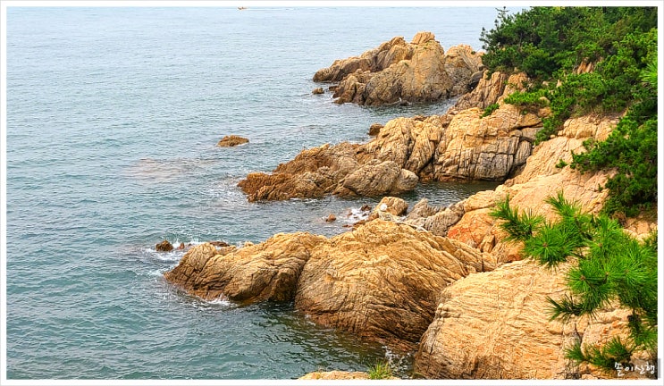  비응도 공원(비응 마파지길)-데크길 완성으로 멋진 바다 감상을...