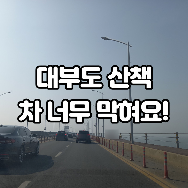  대부도 산책 차가 너무 막혀요!